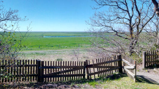 Einkehrtage in Cuxhaven Holzzaun mit offenem Tor vor einer weiten grünen Marschlandschaft unter blauem Himmel