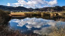 Vulkaneifel und Mosel, Kultur- und Wanderreise im Herbst Spiegelung von Wolken und Hügeln in einem ruhigen See in einer ländlichen Landschaft mit Büschen im Vordergrund.